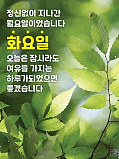 오늘의 ..