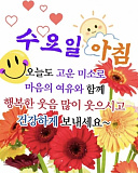 오늘의 ..