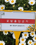 꽃밭 경..