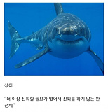 인지도..