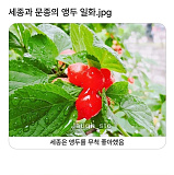 경복궁..