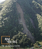 머니투..
